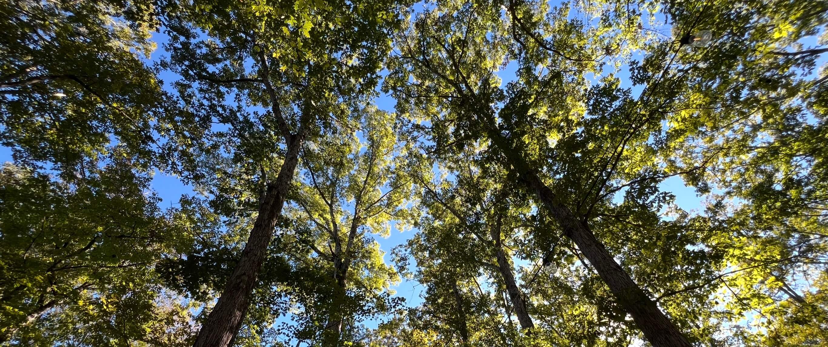 Oak Grove Product Pieces