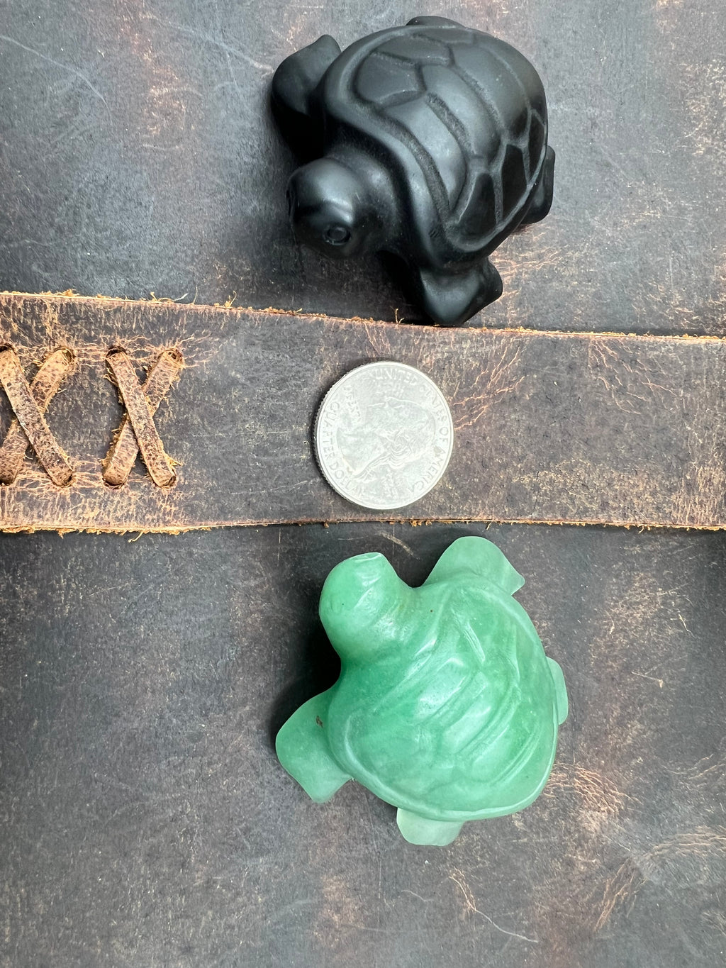 Stone Pocket Turtle - 50mm+