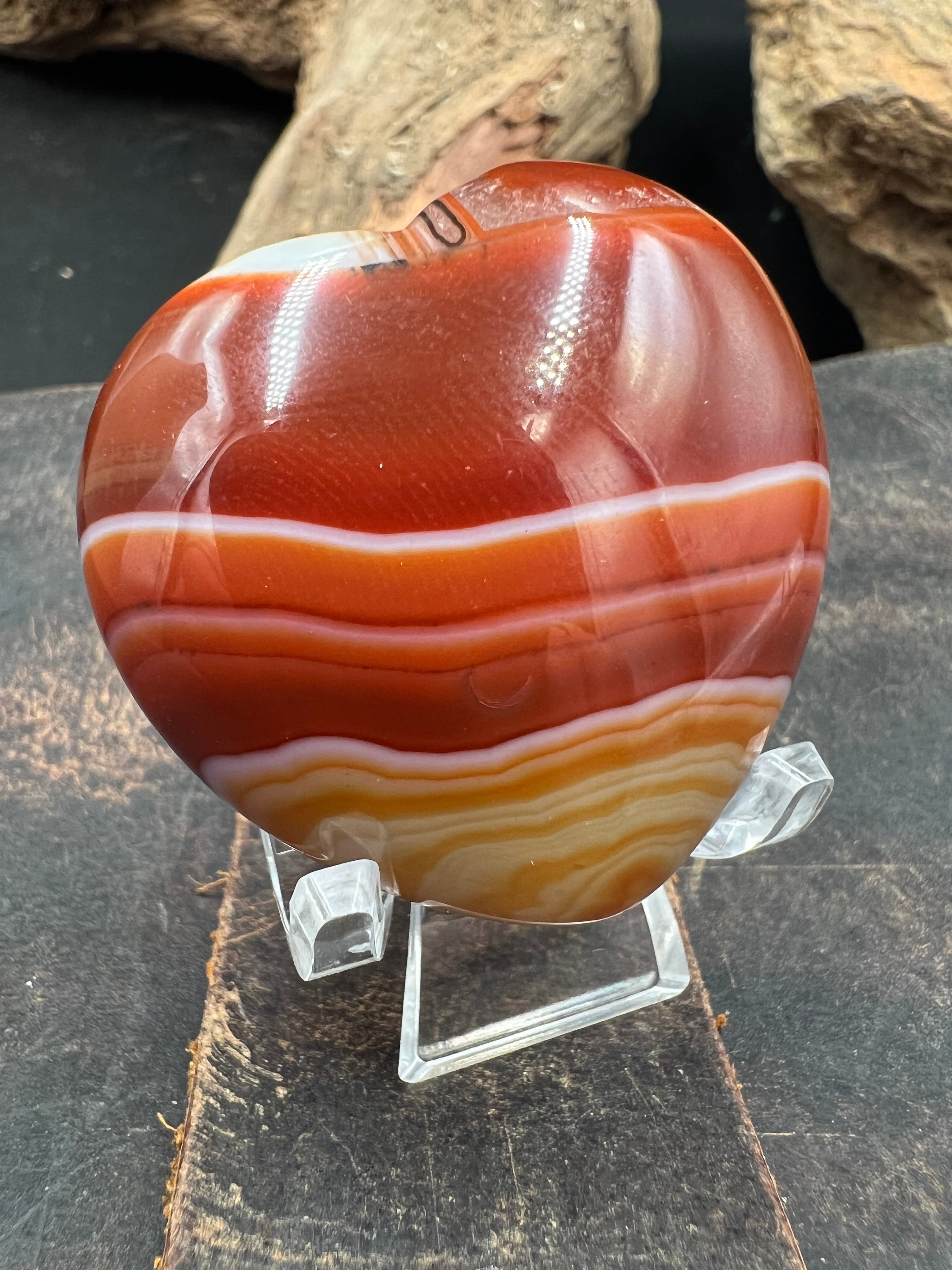 Stone Semi-Puff Hearts of the Forest :: 40-45mm (Medium) :: with Display Stand