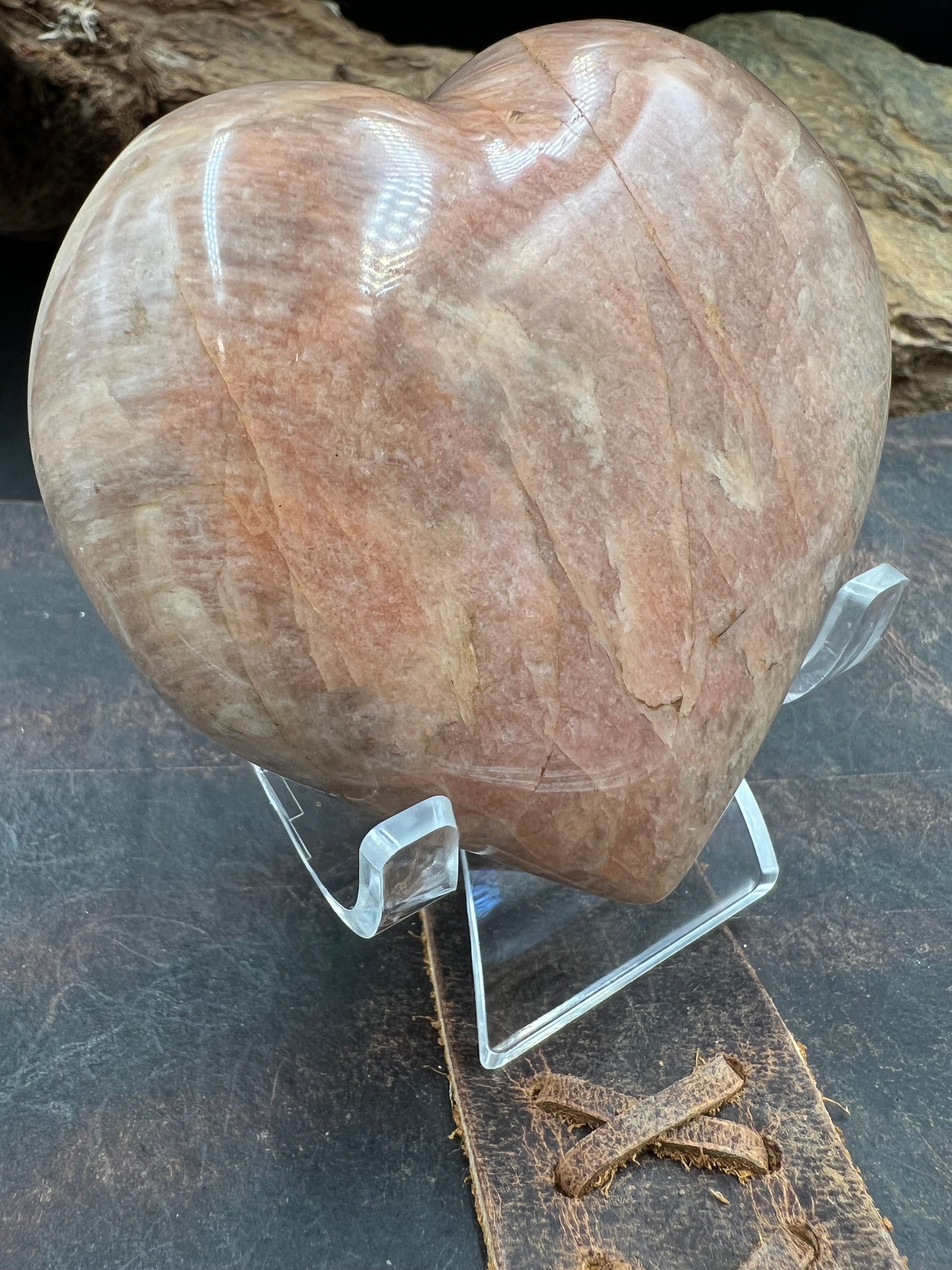 Stone Hearts of the Forest :: 70-80mm (X-Large) :: with Display Stand