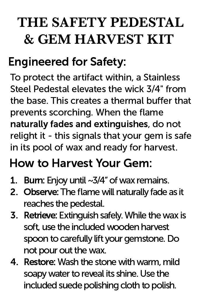 Hearts of the Grove Dinner Candle - Soy Candles with a Hidden Gem