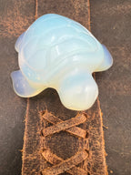 Stone Pocket Turtle - 50mm+