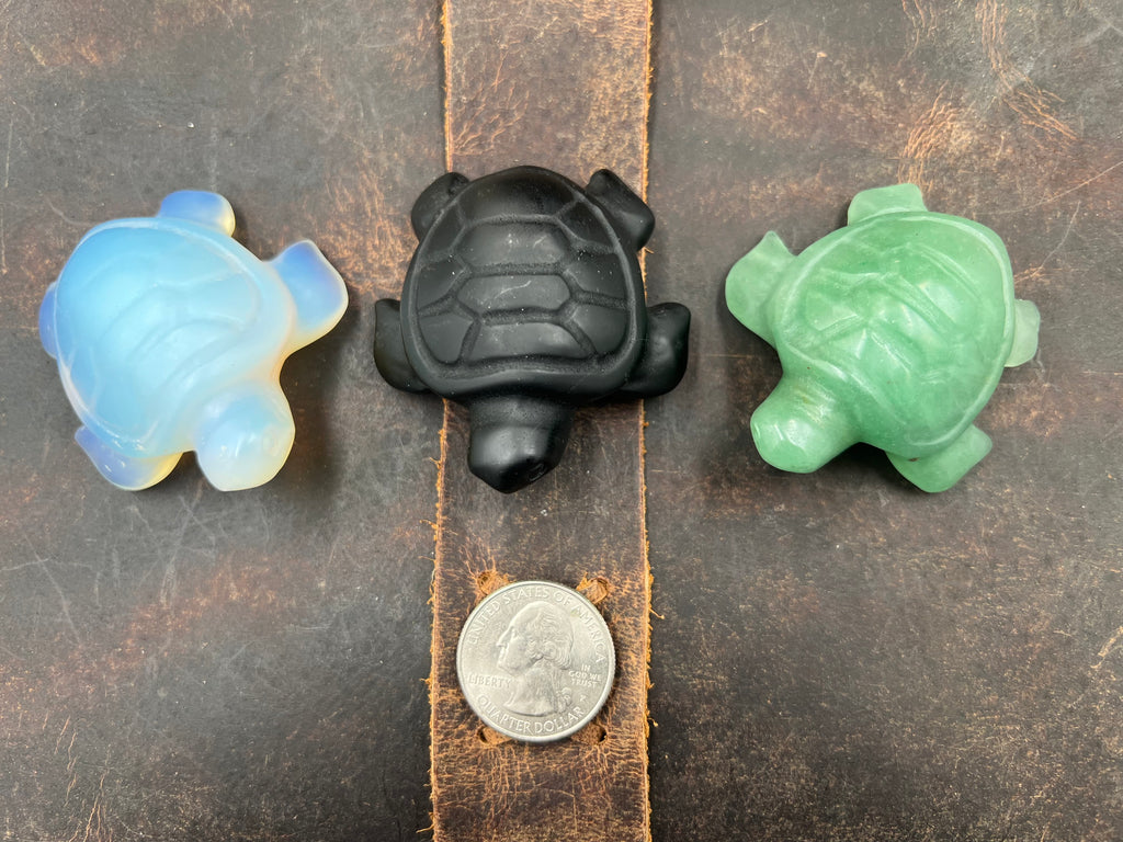 Stone Pocket Turtle - 50mm+