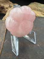 Stone Pocket Paw - 38mm